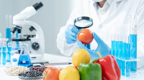 Scientist check chemical food residues in laboratory.